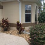 professional painters