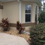 professional painters