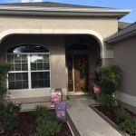 professional painters