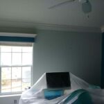 professional painters